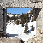 Auf der Ofenalm